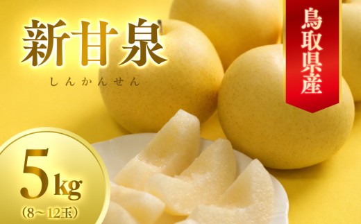 
                  数量限定 鳥取県産梨 新甘泉（しんかんせん）5kg（8～12玉）｜鳥取 梨 なし 新甘泉 しんかんせん　赤秀　贈答用　果物　くだもの　フルーツ　産地直送 期間限定 送料無料 鳥取県 三朝町 先行予約 季節限定  ナシ 贈答用 期間限定 果物フルーツ くだもの 数量限定 産地直送 　国産　ヘルシー　ビタミン豊富　爽やか　夏　新鮮果実　
                