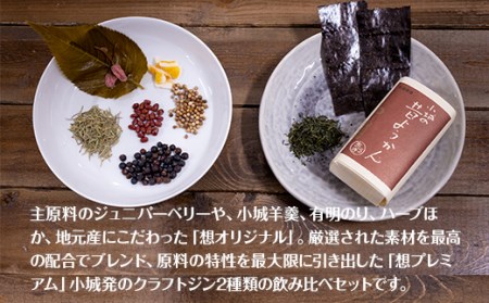 天山名水でつくる小城のクラフトジン OGIGIN想飲み比べ300ml x 2本セット B140-046
