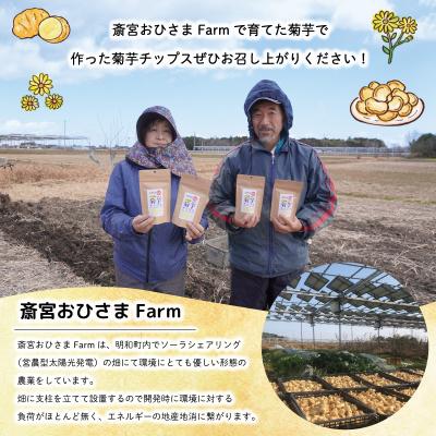 ふるさと納税 明和町 菊芋 チップス 2袋セット |  | 03