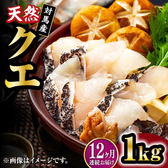 【ふるさと納税】【全12回定期便】【 対馬産 】 天然 クエ 1kg（500g×2）（切り身）《対馬市》【石川水産】 鍋 水炊き 鮮度抜群 海鮮 クエ 天然クエ[WAB026]