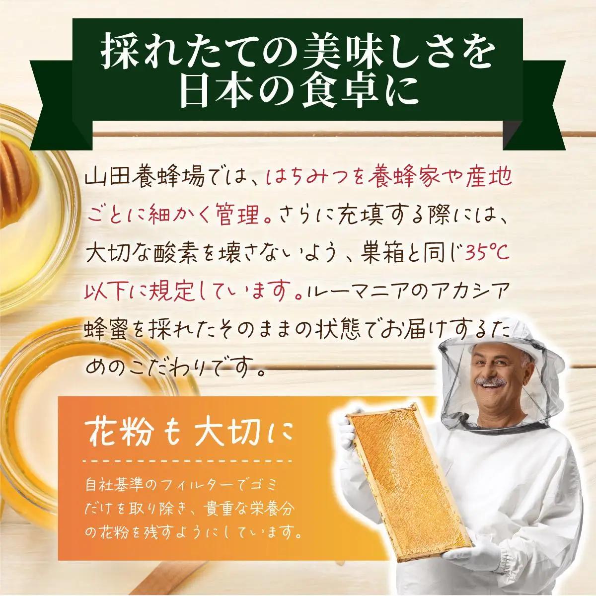 山田養蜂場ルーマニア産アカシア蜂蜜200g（ビン入り）×3個（64301）【006-a069】【山田養蜂場】