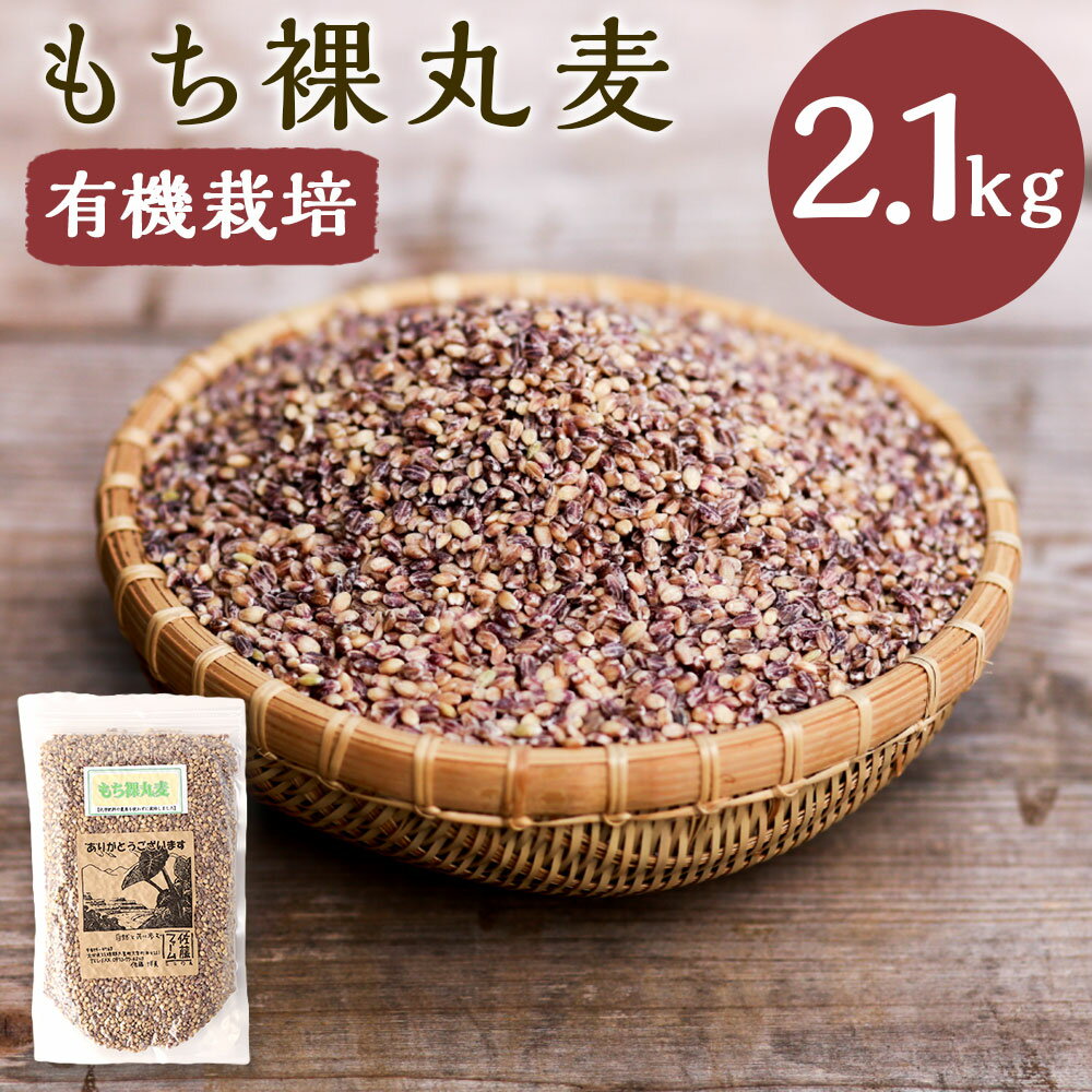 【ふるさと納税】さとうファームのもち裸丸麦 2.1kg 700g×3袋 麦 玄米 お米 米 国産 九州 大分県 九重町 送料無料