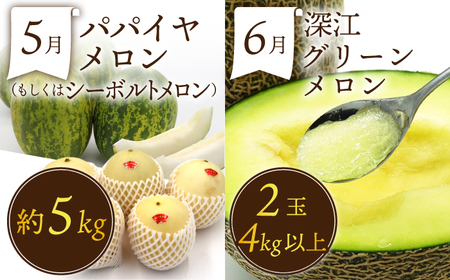 【12回】フルーツ定期便 旬のフルーツ[SDZ023] 