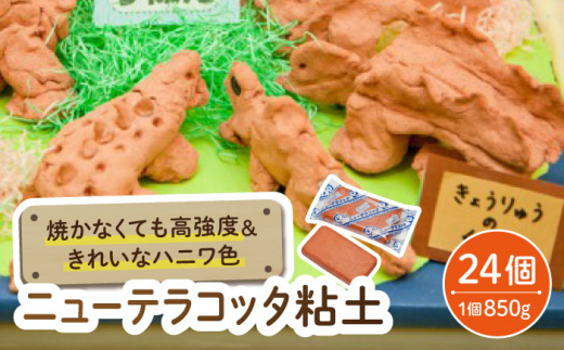 【 おうち時間 で 簡単工作 】焼かなくても丈夫！  ニュー テラコッタ 粘土【 美濃粘土 】≪多治見市≫ 工作用 自由研究 夏休み [TBD008]