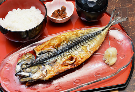 【極味の定期便】脂の乗った『とろさば』『とろあじ』のひもの 各３枚 × 選べる５カ月《毎月発送》　[0050-0071]
