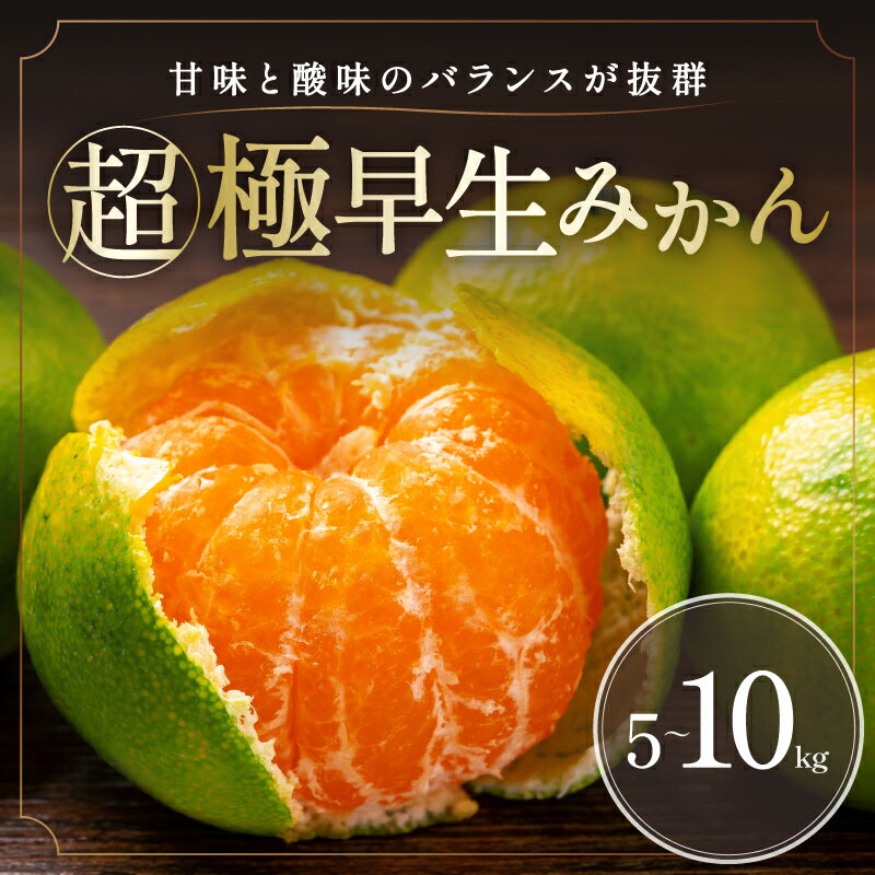 【ふるさと納税】ミカファーム 超極早生みかん 5kg 10kg 選べる 容量 │ 数量限定 フルーツ 果物 柑橘 みかん 超極早生 旬 夏 秋