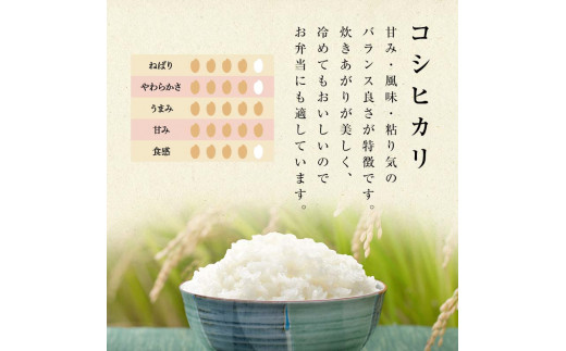 お米の定期便 農薬不使用米 太地米完熟 【こしひかり】 玄