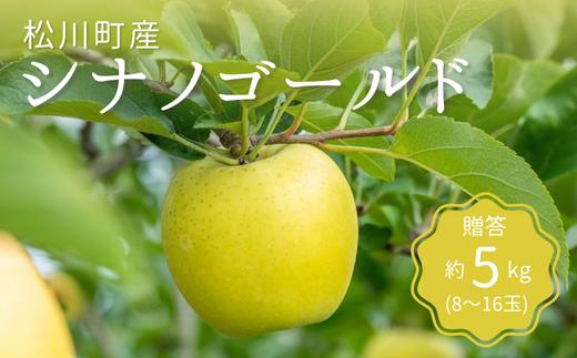 
            KR12-25A りんご シナノゴールド 贈答 約5kg（8～16玉） / 10月下旬頃～配送予定 // 長野県 南信州 ギフト リンゴ 林檎 黄色りんご 農家直送 農家支援 産地直送
          