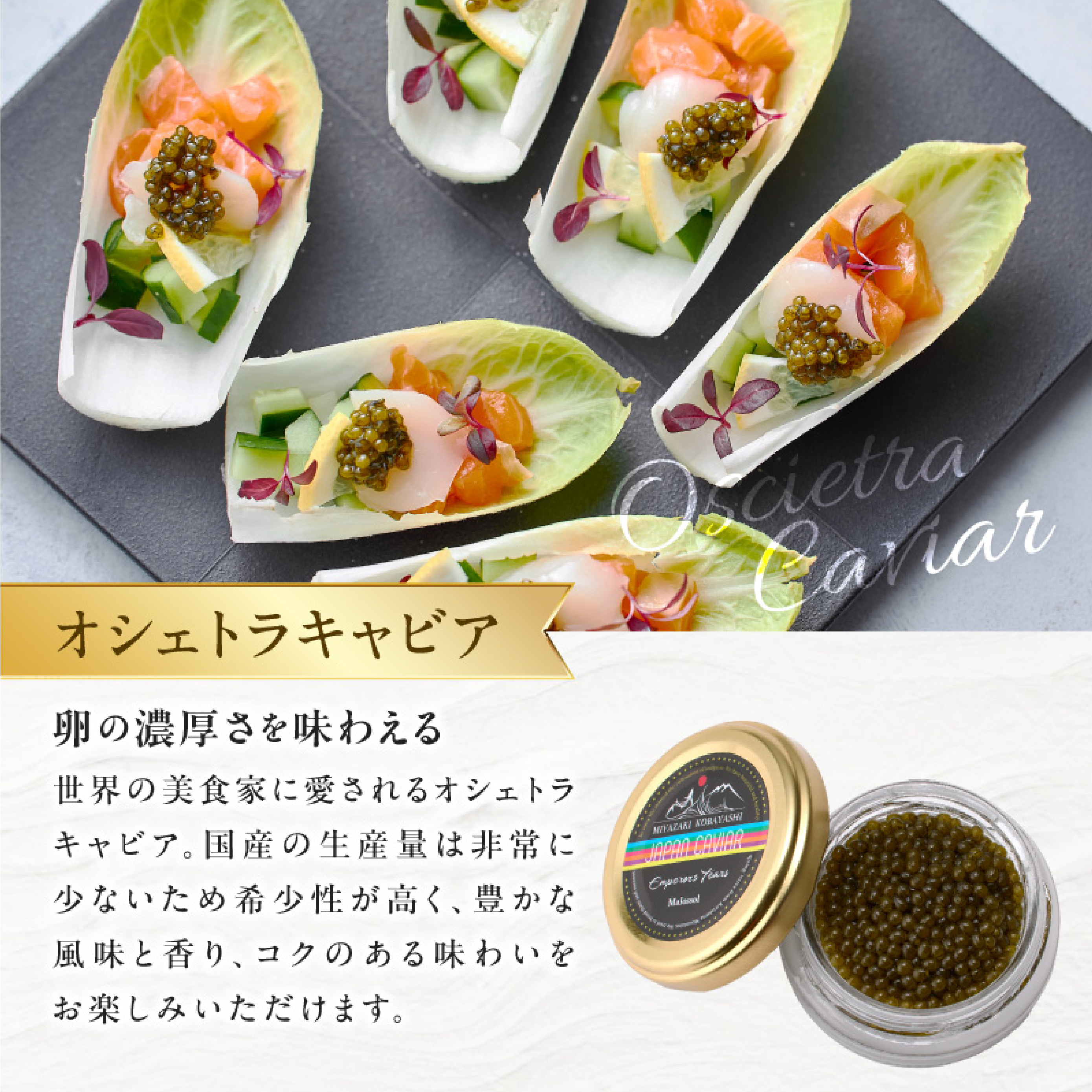 【純国産キャビア】皇帝の涙 2種食べ比べセット 40g 国産 キャビア チョウザメ 宮崎 小林市 食べ比べ