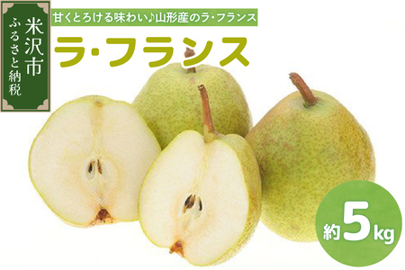 【先行予約】 令和8年産 ラ・フランス 約5kg 14玉 ～ 16玉
