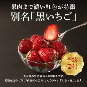 玄海町産いちご「真紅の美鈴」4ヶ月定期便 ／ フルーツ【Z040】