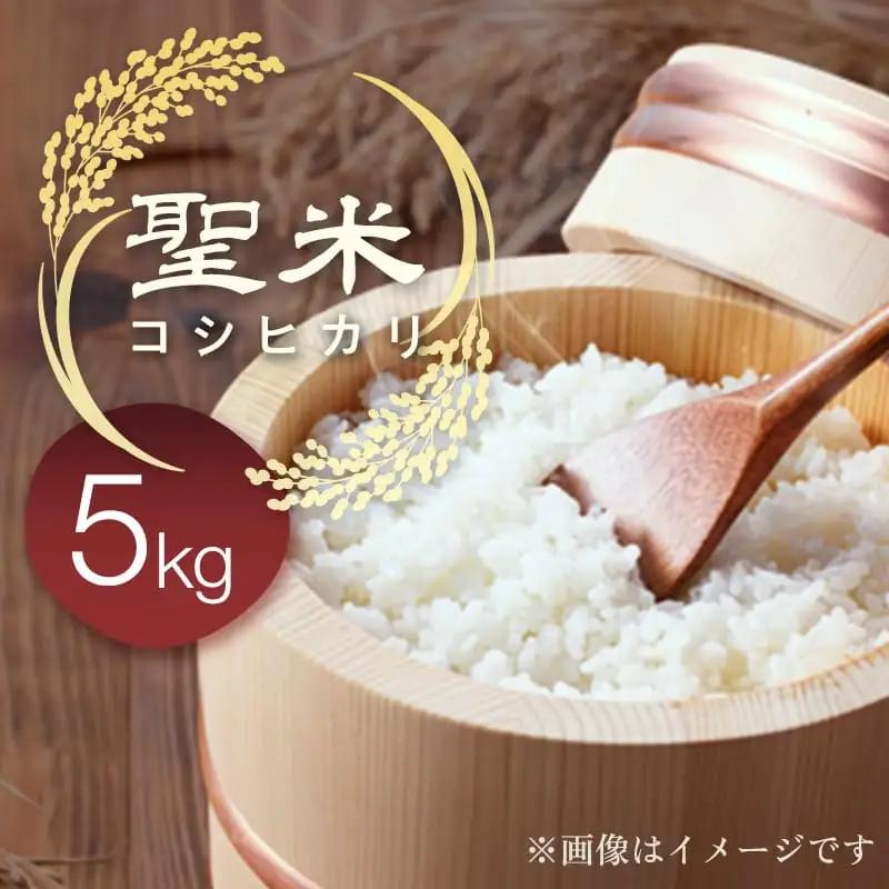 「聖米」 白米 5kg | 米 お米 こしひかり 白米 精米