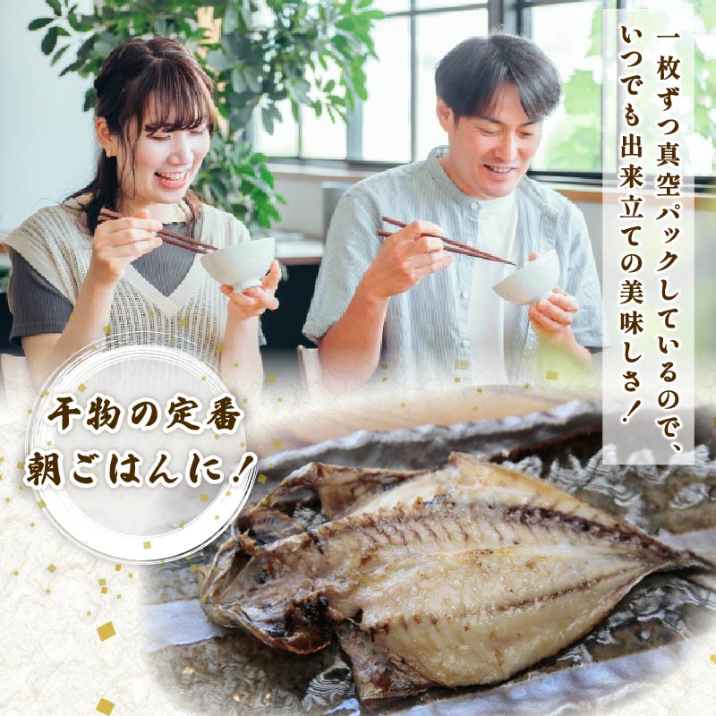 干物 伊豆 下田 ひもの万宝 の アジ の 干物 10枚 セット 詰合せ 干物セット あじ 塩干し 天日塩 手開き 詰め合わせ ギフト 保存料 化学調味料 無添加 魚介類 干物専門店 冷凍 静岡 伊豆