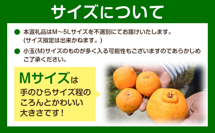 訳あり 不知火 ( デコポンと同品種 ) しらぬい 約10kg (M～5Lサイズ) どの坂果樹園《2027年2月上旬-4月上旬頃出荷》 和歌山県 日高町 しらぬい でこぽん 旬 果物 フルーツ 柑橘 