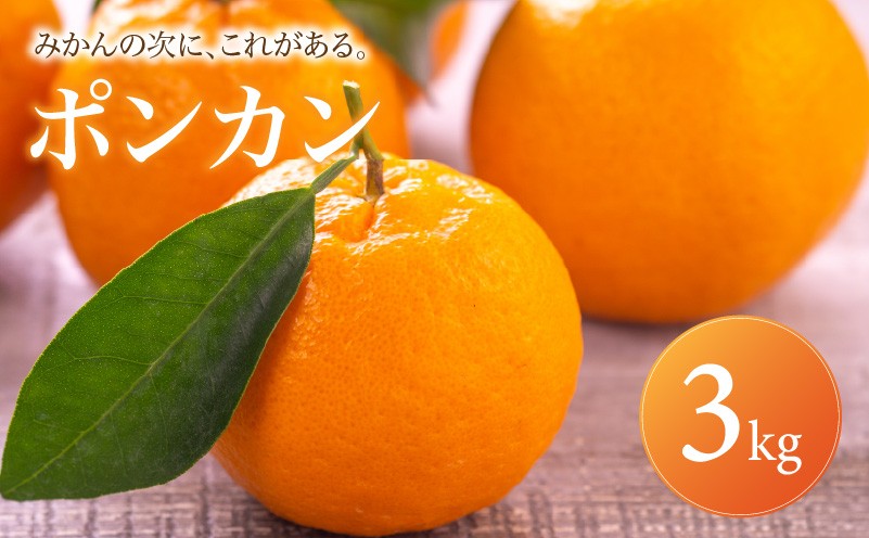 
                  【安心して選べる】 昔ながらの美味しさ 【ポンカン】 3kg 愛媛県産 【2027年1月中旬頃から順次発送】 | ぽんかん みかん ミカン mikan 蜜柑 訳ありフルーツ 柑橘 果物 おすすめ お勧め お取り寄せ ギフト 愛媛県 松山市
                