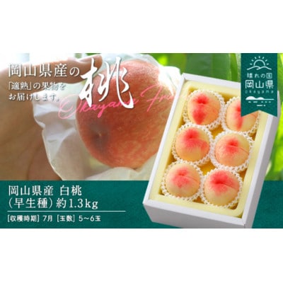 【2027年発送】岡山県産　白桃(早生種)約1.3kg(5～6玉)【配送不可地域：離島】