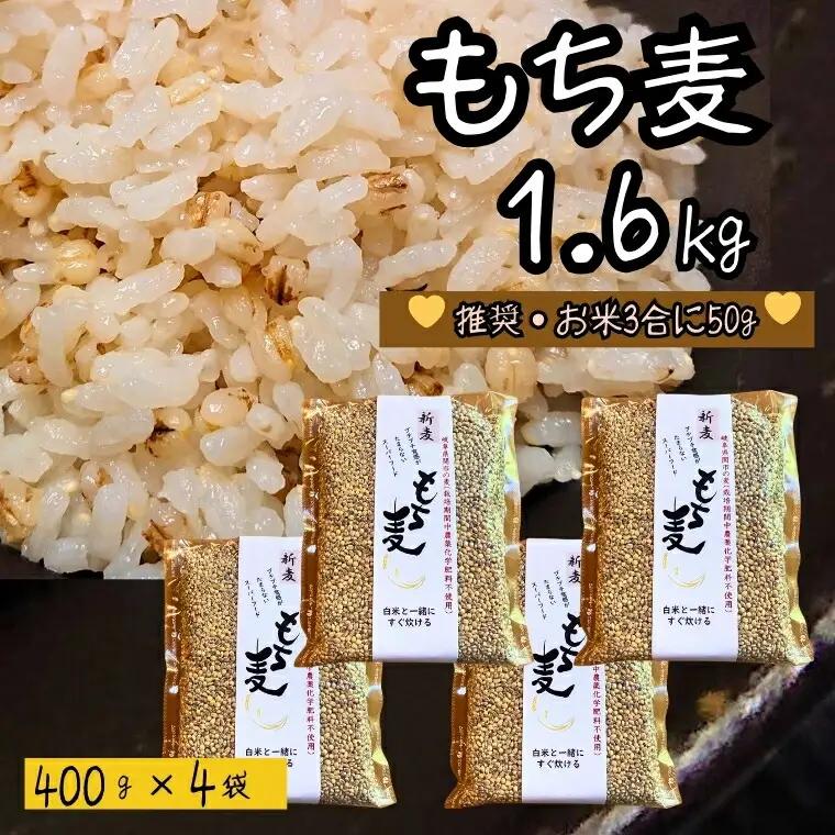 もち麦 【1.6kg】 そのままごはんと一緒にすぐ炊ける 8ぶづき