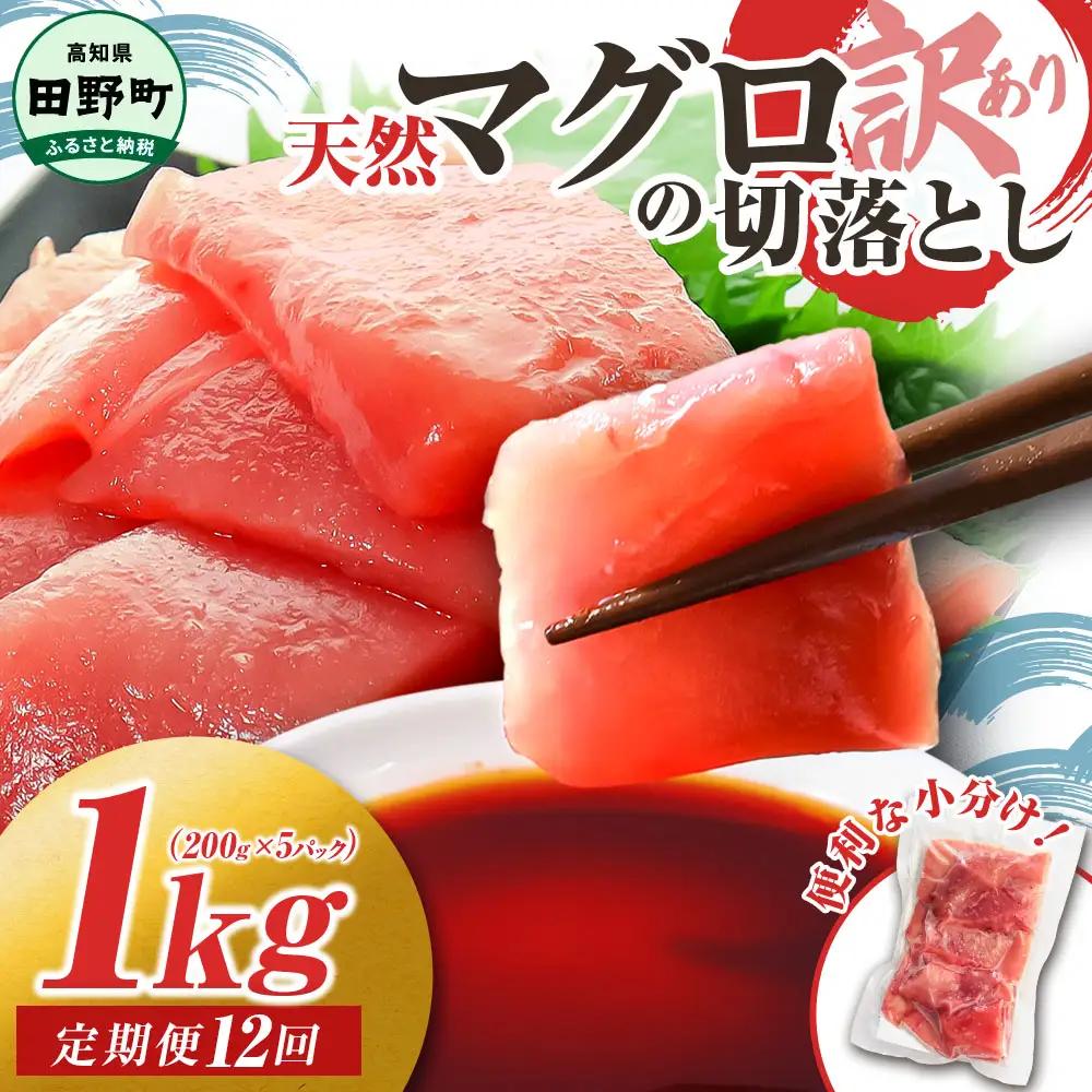天然マグロ切り落とし 1kg 12ヶ月定期便 刺身【天然マグロ切り落とし】
