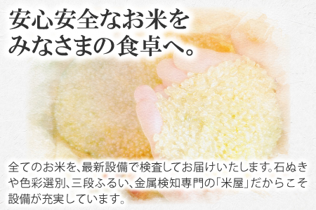 【令和5年産】石見地方 邑智郡 美郷町産 コシヒカリ 10kg