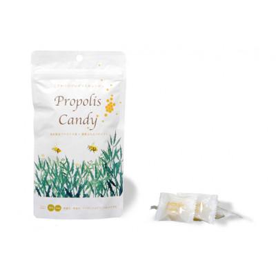 ふるさと納税 那須塩原市 エスタプロントレギュラーパック:ノンアルコールプロポリス抽出液90ml+プロポリスキャンディ30粒付 |  | 02