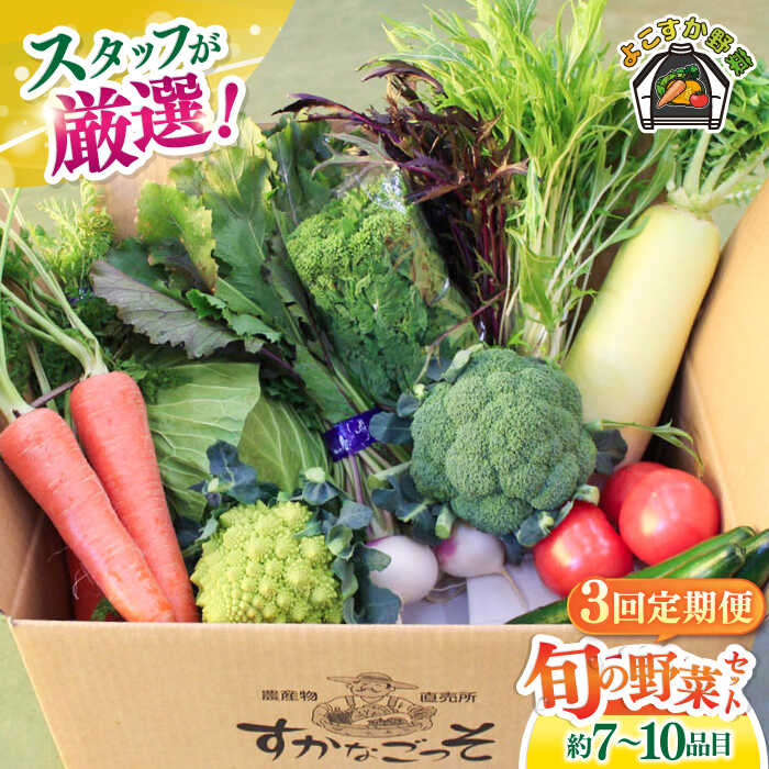 【ふるさと納税】【全3回定期便】よこすか野菜セット すかなボックス 野菜 お野菜 季節野菜 やさい 詰め合わせ 詰合せ セット お楽しみ 産地直送 旬 厳選 すかなごっそ 農産物 神奈川県 横須賀市 【JAよこすか葉山】[AKFO007]