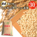 【ふるさと納税】 【令和6年産】獅子米 ミルキークイーン 玄米 30kg お米 米 おこめ ブランド米 ミルキー 30キロ 国産 単一原料米 コメ こめ ご飯 銘柄米 茨城県産 茨城 産直 産地直送 農家直送 ごはん 家庭用 贈答用 お取り寄せ ギフト 茨城県 石岡市 送料無料 (G425)