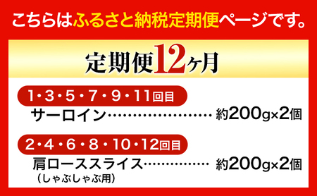 【12ヶ月定期便】美星牛 定期便 ハレノヒ良品 牛 肉