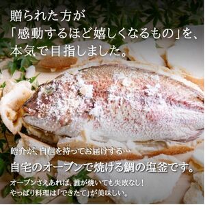 天然真鯛の塩釜(XL・無添加・木槌付)CAS冷凍!誕生日プレゼント、出産祝い、お食い初めに 訳あり [配送不可地域：離島]