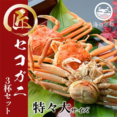 ふるさと納税 宮津市 セコガニ　コッペがに　特々大サイズ 3杯セット