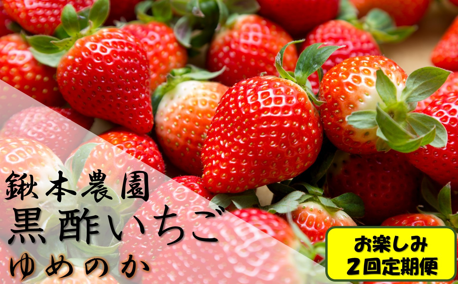 
PF-3 鍬本農園の黒酢いちご(ゆめのか)　お楽しみ２回定期便
