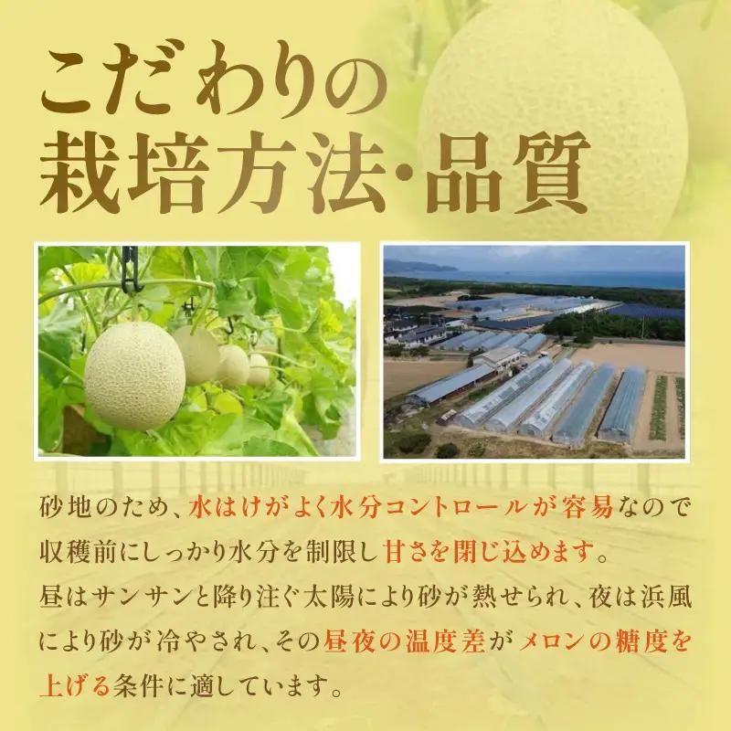【先行予約／数量限定150】砂姫メロン1玉！（2026年6月下旬～発送）メロン