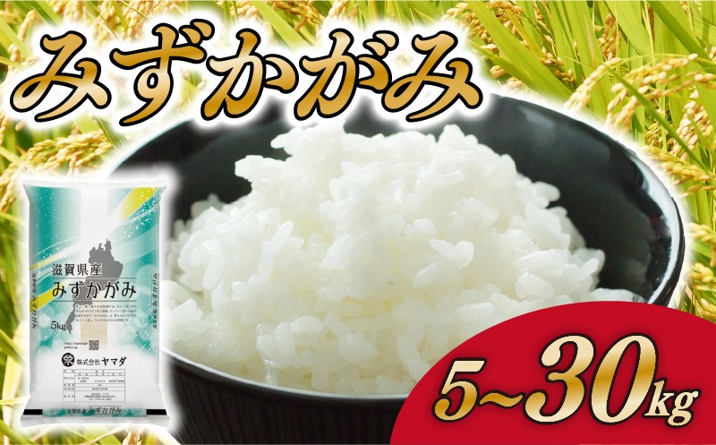 
                  みずかがみ 5kg 10kg 20kg 30kg お米 精米 白米 米 国産 単一米 こめ コメ おこめ ご飯 ごはん 選べる 容量 近江米 お弁当 送料無料 滋賀県 愛荘町
                