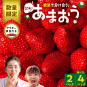 【ふるさと納税】【訳あり 数量限定】 あまおう 270g 選べる 2パック 4パック 国産 福岡県産 ブランドいちご アフター保証 食べ方いろいろ 甘い 果物 フルーツ ストロベリー 苺 エコファーマー認定農家 お取り寄せ スイーツ デザート 家庭用 国産 福岡県 久留米市 送料無料