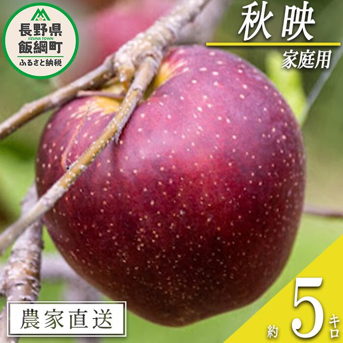 【ふるさと納税】 りんご 秋映 家庭用 5kg 松橋りんご園 沖縄県への配送不可 令和7年度収穫分 長野県 飯綱町 〔 信州 果物 フルーツ リンゴ 林檎 長野 12000円 予約 農家直送 〕発送時期：2025年10月上旬〜2025年10月中旬 {**}