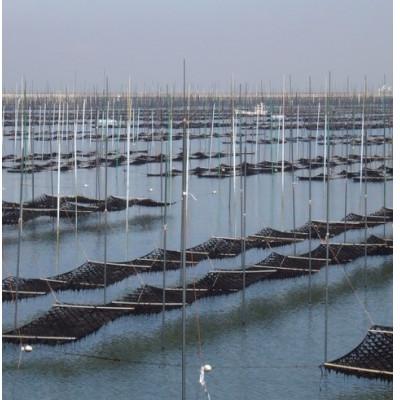 ふるさと納税 鞍手町 福岡有明海苔一番摘み高級焼き海苔「旬海王」(全形35枚 5枚×7袋)特別仕様切子細工桐箱入 個包装 |  | 01