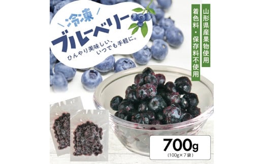 1177BB700G　冷凍ブルーベリー700g(100g×7袋)