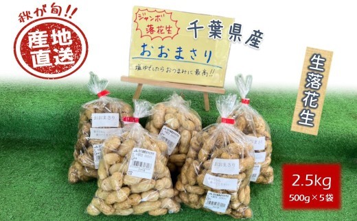 
                  落花生 おおまさり 2.5kg 殻付き 生落花生
                