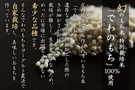 【3月発送】梅木もち屋 庄内産『でわのもち』を使用した杵つき餅 380g×1袋（入金期限：2026.3.15）柔らかくよく伸びる 小さめ 個包装 ヨーグルト農法 丸もち 餅 もち