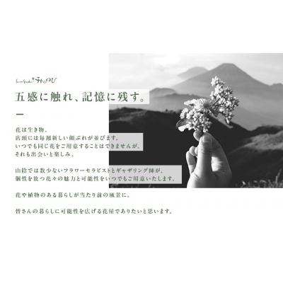 ふるさと納税 倉吉市 地元の花屋さんオススメの花束 花 生花 お花 ギフト |  | 03