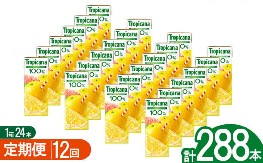 【12回定期便】トロピカーナ100％グレープフルーツ 250ml紙パック×24本 | ジュース 飲み物 飲料 栃木県 下野市 送料無料