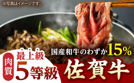 【ふるなび限定】 佐賀牛 赤身・ロース 食べ比べセット （焼肉・すき焼き） 【山下牛舎】[HAD150]