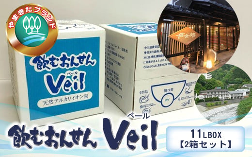 
水 10年保存水 飲むおんせんベール11LBOX【2箱セット】【 温泉水 温泉純度100％ 保存水 長期保存 備蓄 水 ミネラルウォーター 災害 災害用 備蓄用 10年 防災 水 保存水 備蓄水 防災用品 神奈川県 山北町 】
