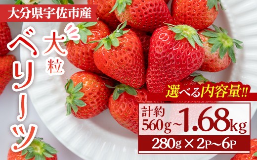 
                  ＜選べる！内容量＞＜2026年1月上旬～3月下旬の間に発送予定＞大粒いちご(計約560g～1.68kg・280g×2P~6P)苺 イチゴ フルーツ 果物 くだもの 果実 ベリーツ 大粒【117900400・117900500・117900600】【Farm U.S.A.】
                