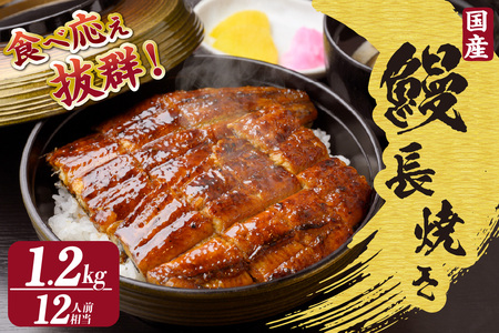 国産特大うなぎ長焼き６尾(約２００ｇ)　合計約１，２００ｇ（1666）