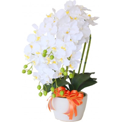 胡蝶蘭 造花 常滑産陶製鉢に入ったシルクフラワーの胡蝶蘭の鉢植 5本立 CT触媒 ホワイトイエロー【1357826】