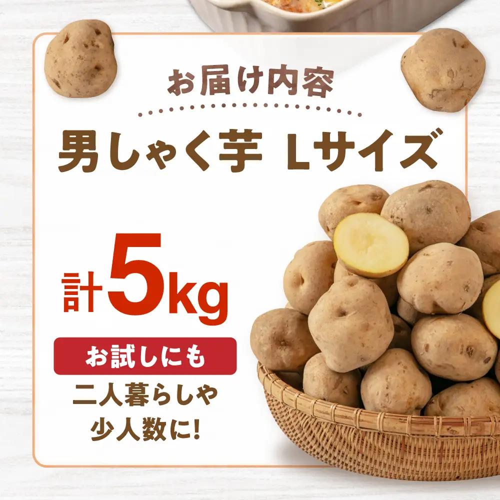 【ふるなびWEEK対象】じゃがいも 男爵芋 5kg  [AJAK027] じゃがいも