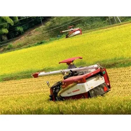 【令和7年産】ヒノヒカリ　玄米5kg【1443670】