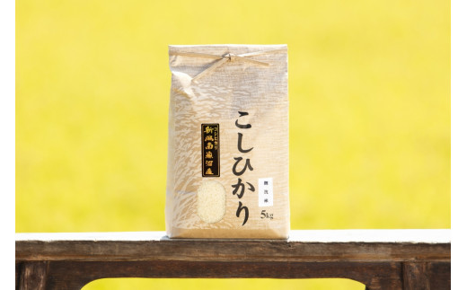 
            【頒布会】【令和7年産】南魚沼産コシヒカリ（無洗米5kg×全6回）
          