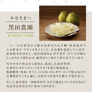 ラ・フランス　３ｋｇ　贈答品　0102-2404