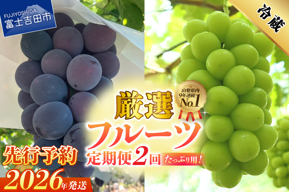 【2026年発送】【2回定期便】厳選 旬のフルーツ定期便（黒ぶどう1kg以上・シャインマスカット1kg以上）